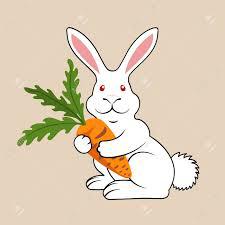 hase2.jpg hase2.jpg